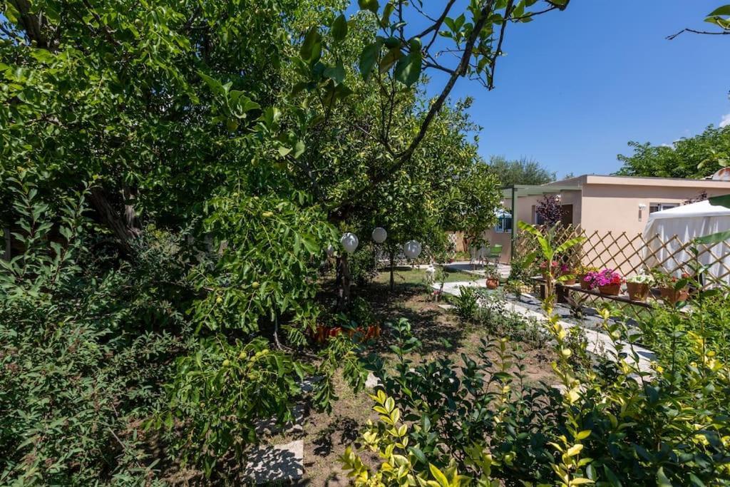 Faraí Bougainvillea House With Private Garden מראה חיצוני תמונה